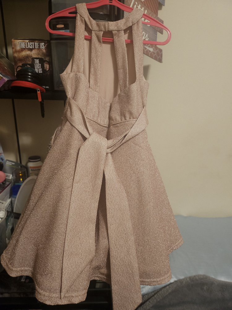 Girl's dress image indicator(2)