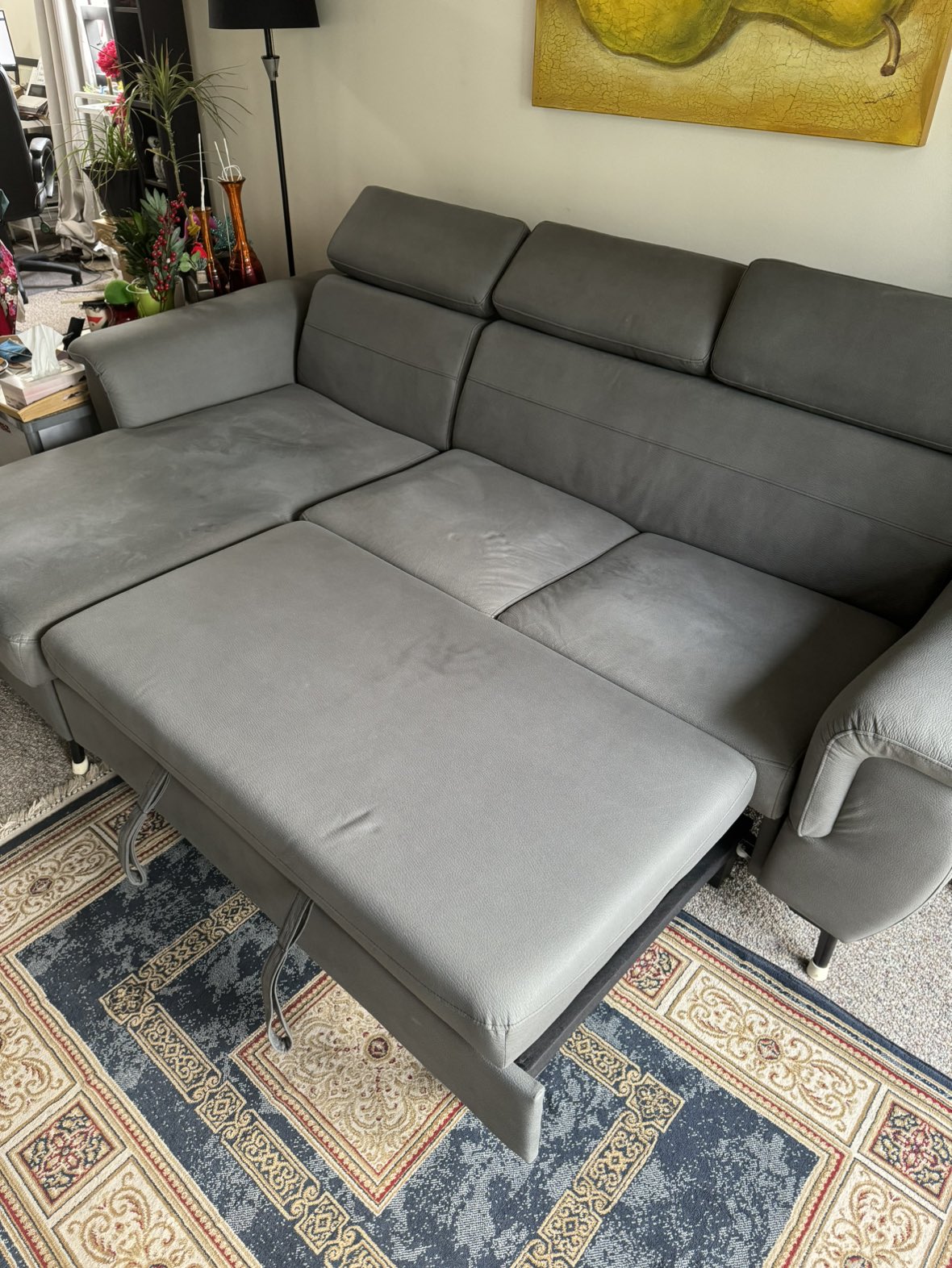 Couch/sofa bed