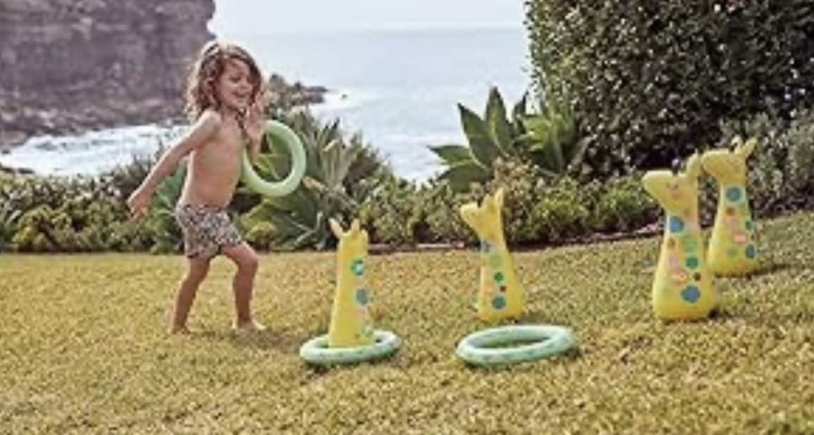 Ring Toss Game Giraffe image indicator(2)