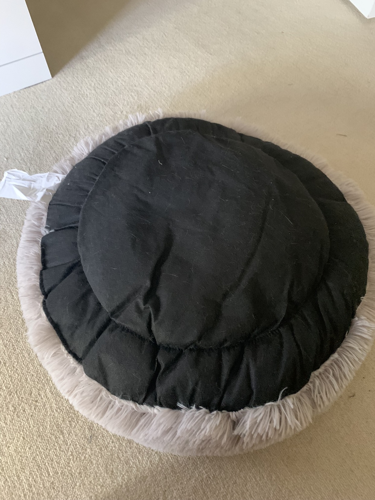 Cat bed image indicator(2)