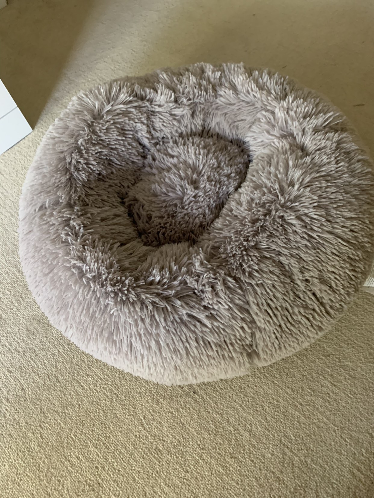 Cat bed