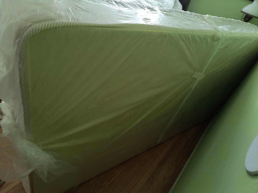 FREE twin mattress - photo 2