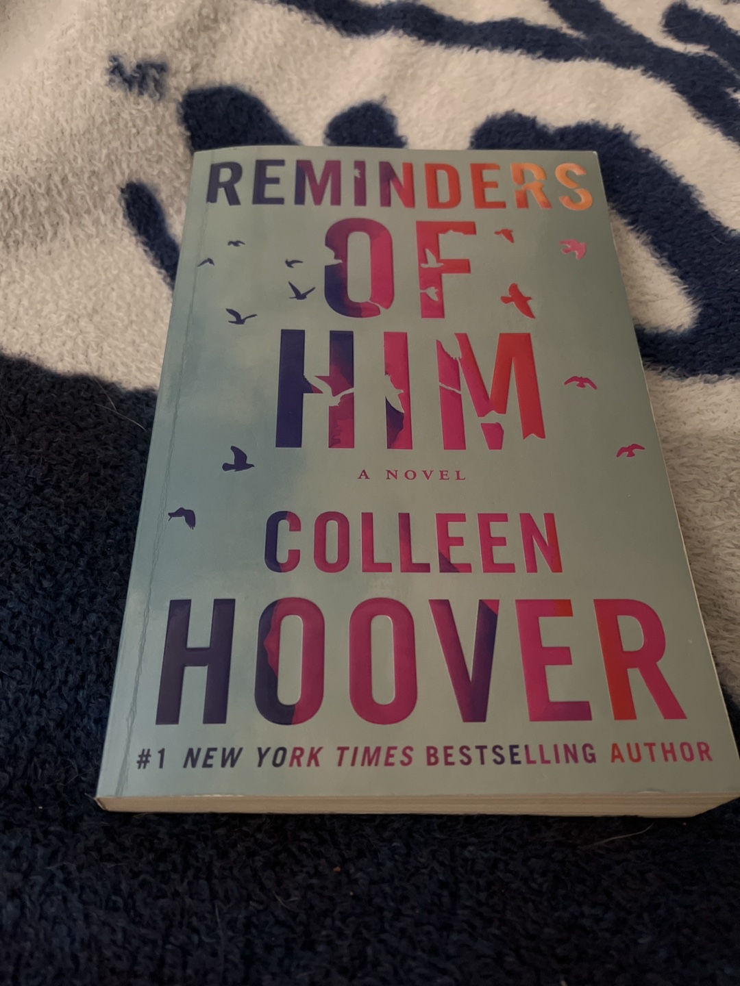 Reminders of him by Colleen Hoover book thumbnail