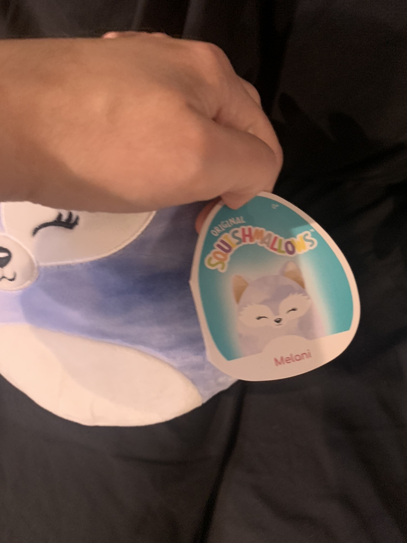 $10 each Squishmallow 10” ( NWT) - photo 3