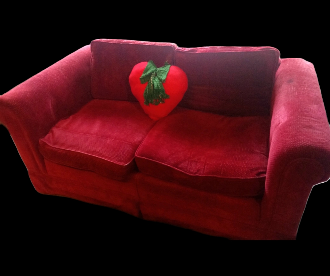 red couch thumbnail
