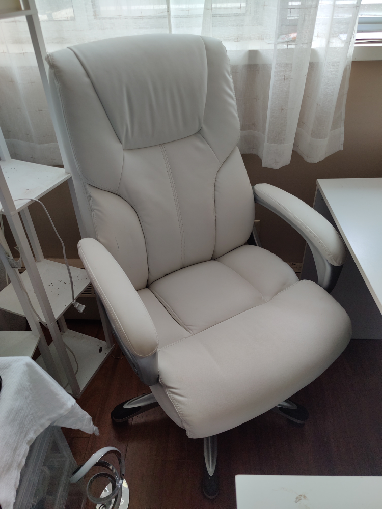 white office desk chair, ergonomic chair 🥕