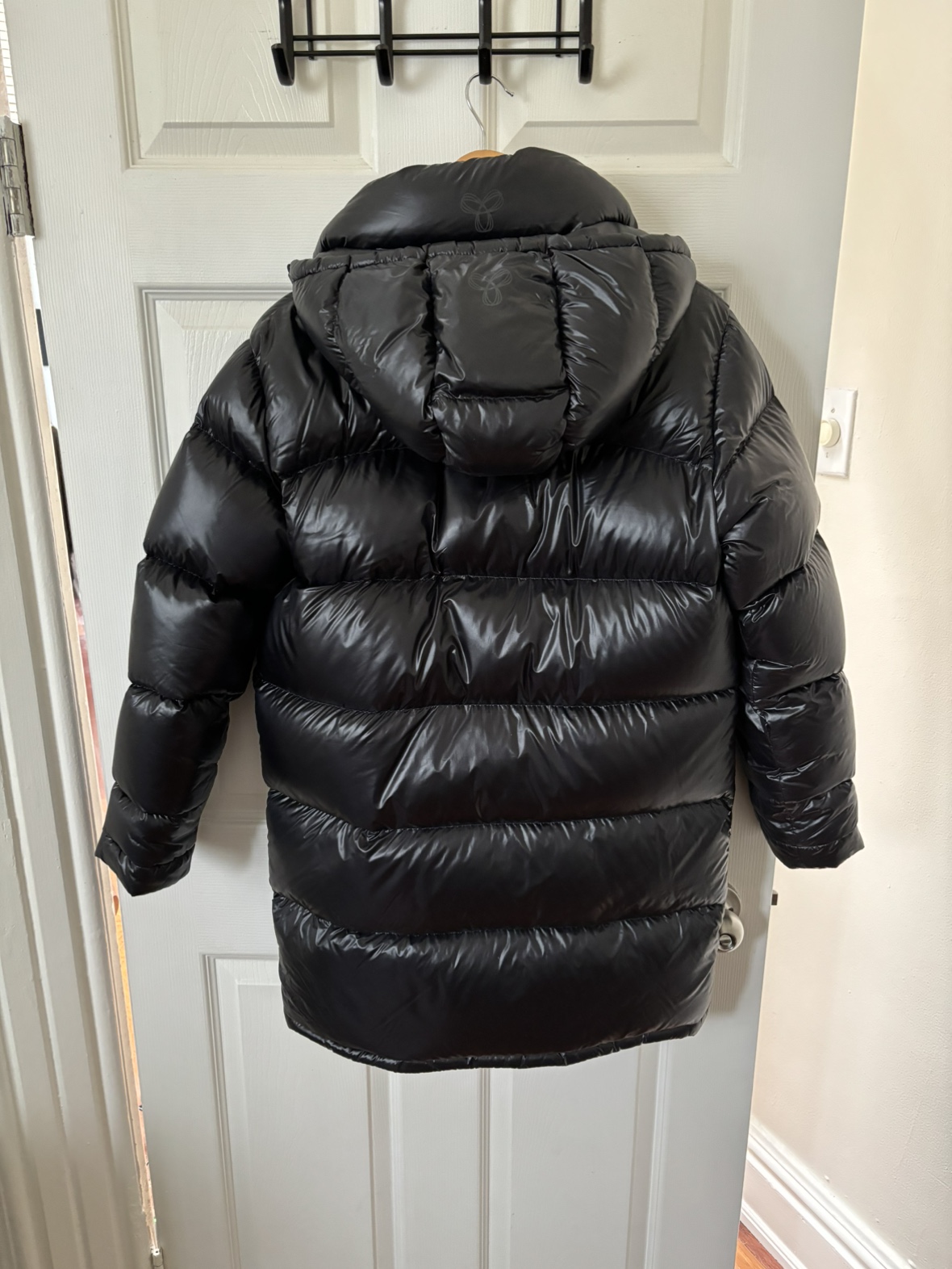 Aritzia Super Puff (size small) image indicator(2)