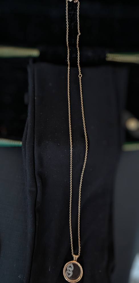 Pandora Rose Necklace with Floating Locket