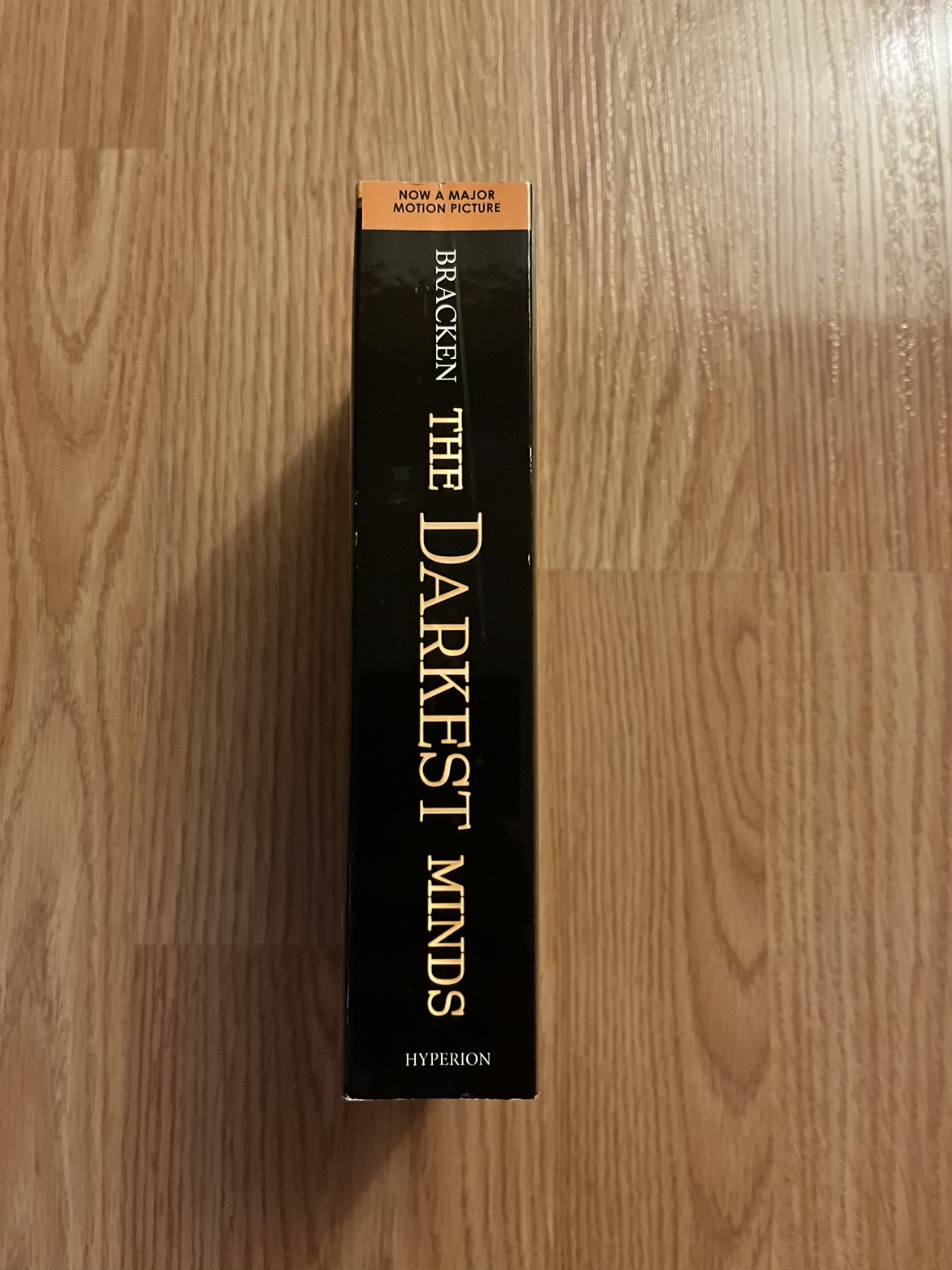 The Darkest Mind by Alexandra Bracken image indicator(2)