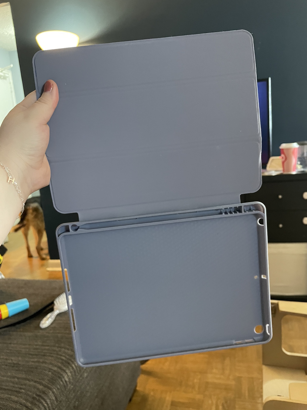 iPad case - 8th or 9th gen image indicator(2)