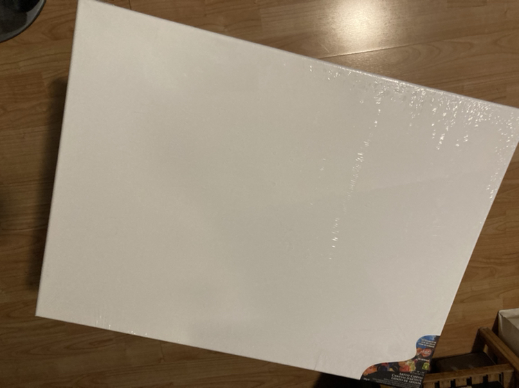 Blank artist canvases for sale image indicator(2)