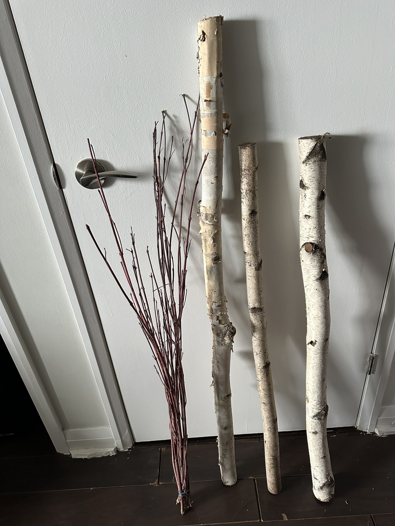 Birch wood thumbnail