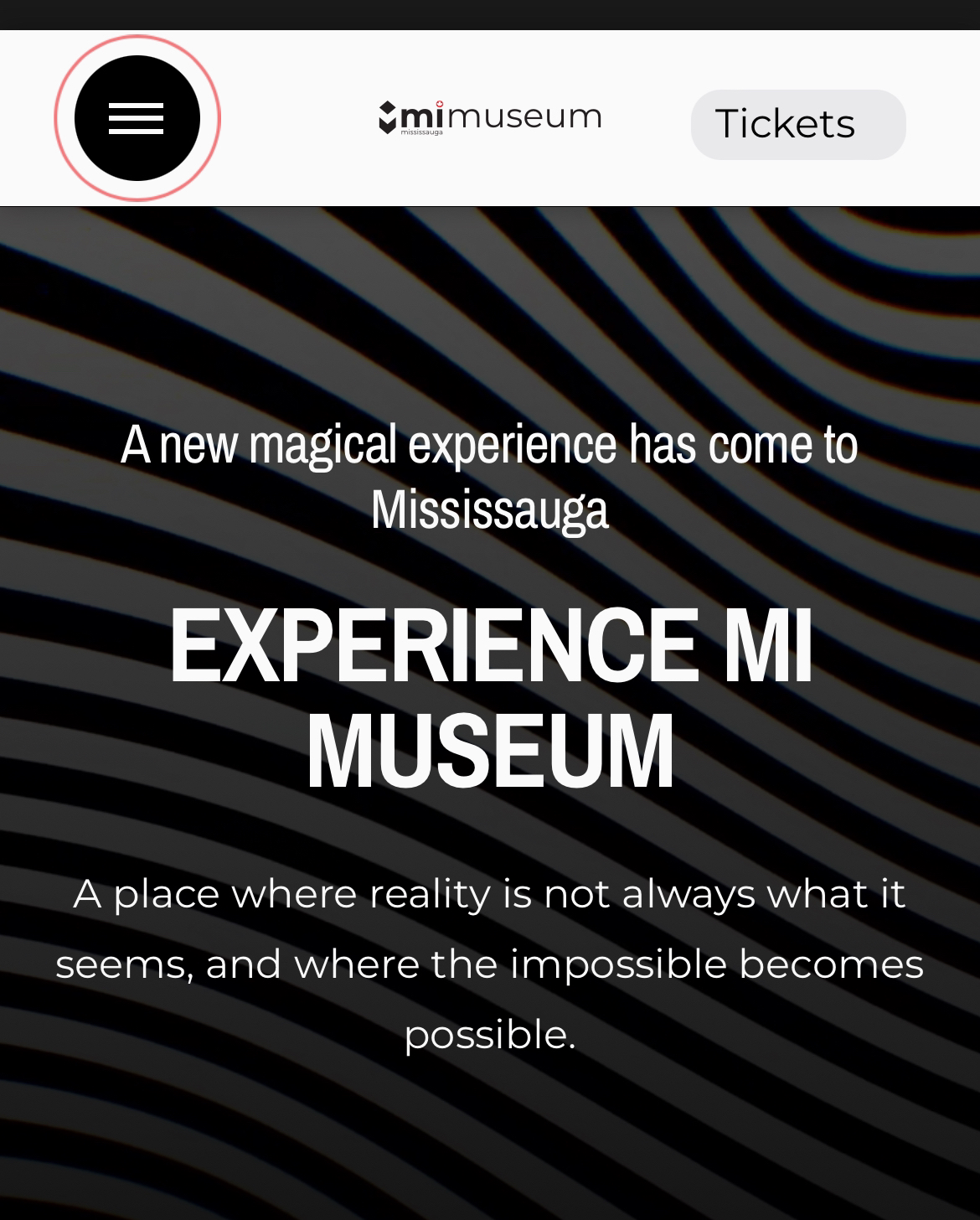 Mi Museum Mississauga  Tickets (3) image indicator(5)