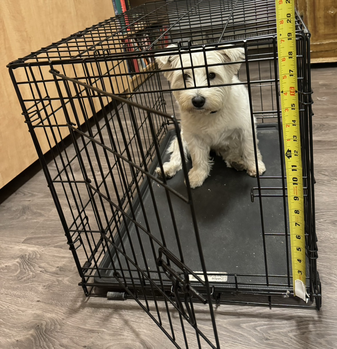 Dog crate