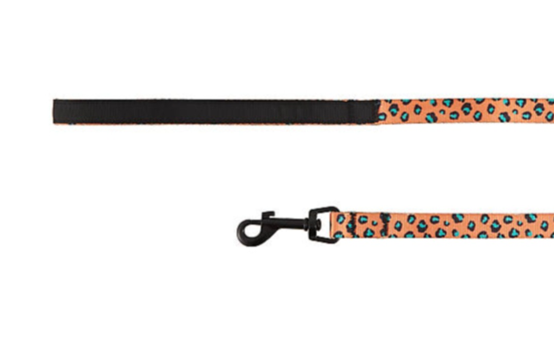 Pet leash - photo 4
