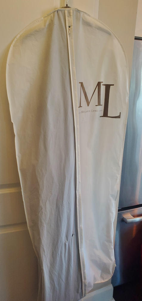 Sapphire Evening Gown image indicator(9)