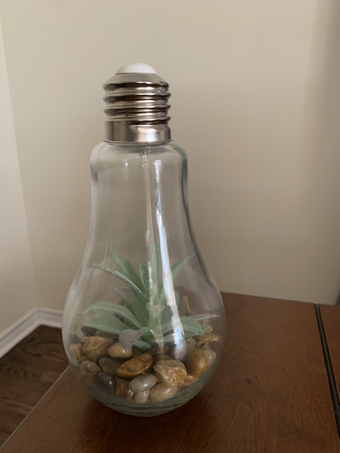 Light bulb terrarium