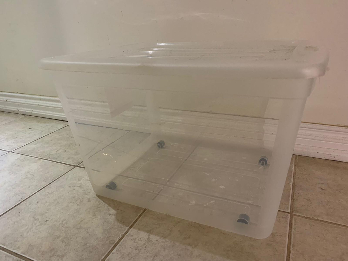 Transparent storage box with lid 80L
