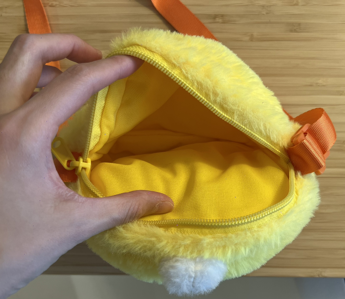 #freecycle free cute bag - photo 2
