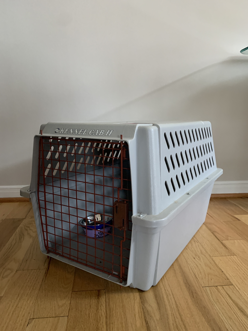 Pet carrier thumbnail