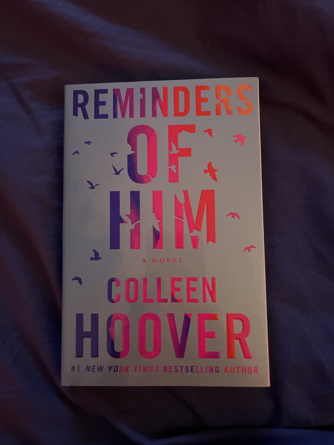 Book: Reminders of Him - Colleen Hoover