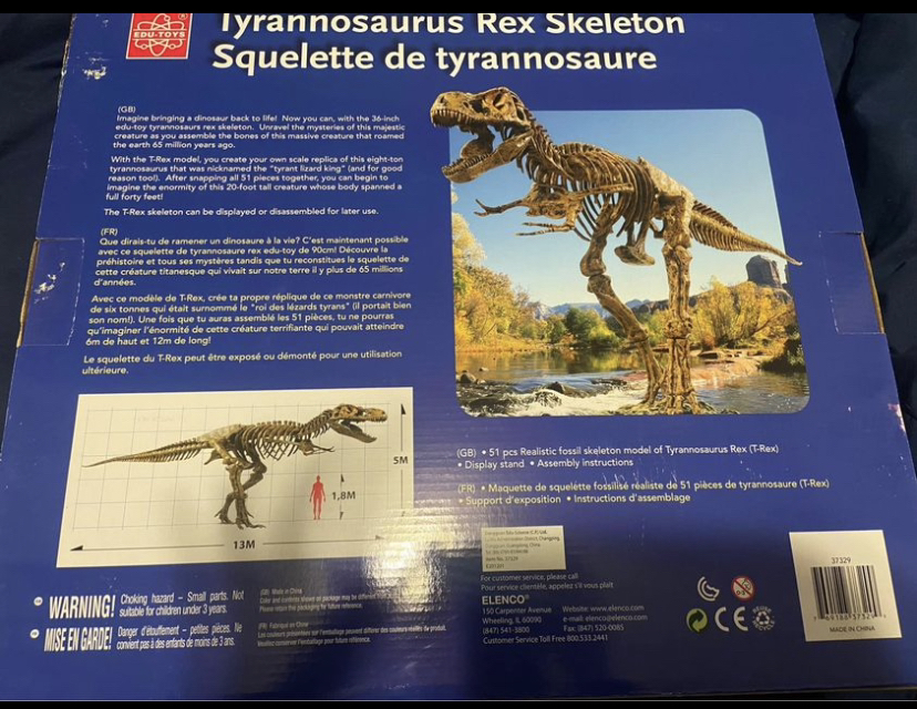 Tyrannosaurus Rex skeleton - EDU Toys - photo 2
