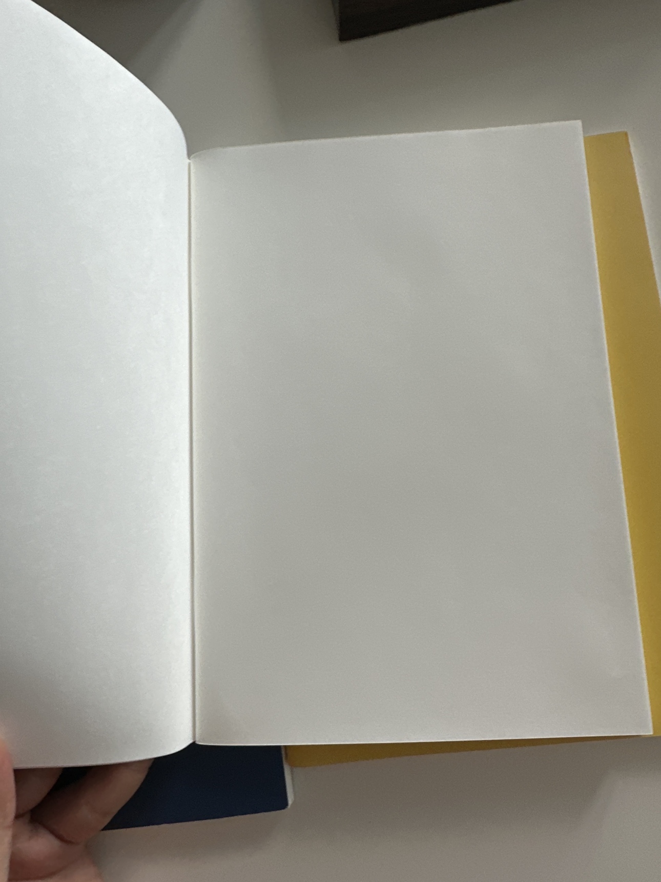 Blank notebooks - photo 2