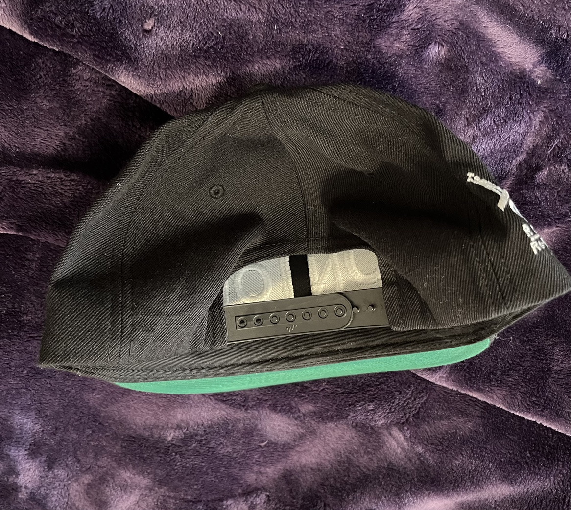 New Snapback Hat image indicator(3)
