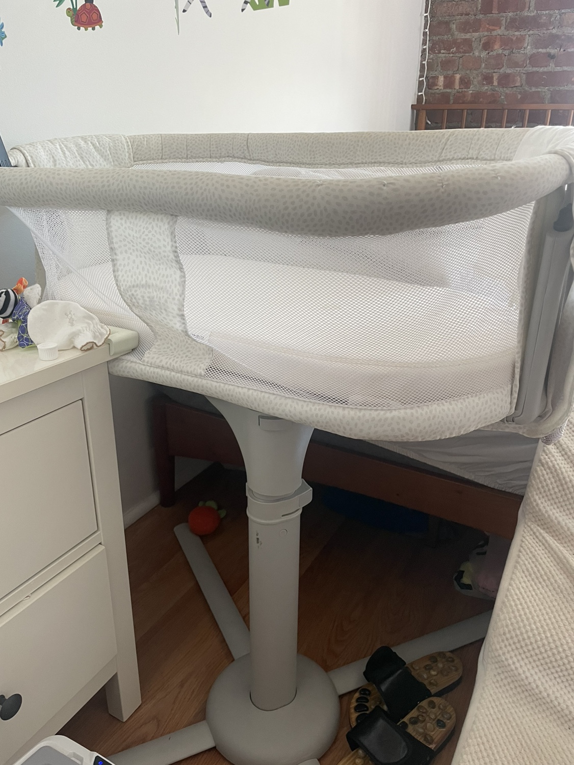 HaloBassinet
