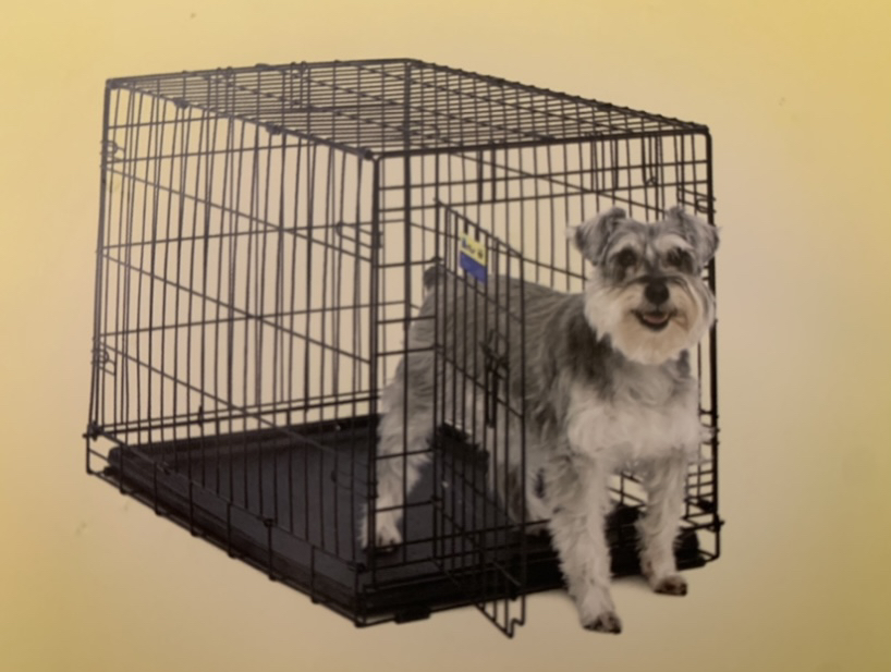 Folding Dog Crate