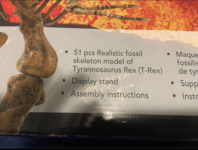 Tyrannosaurus Rex skeleton - EDU Toys - photo 3