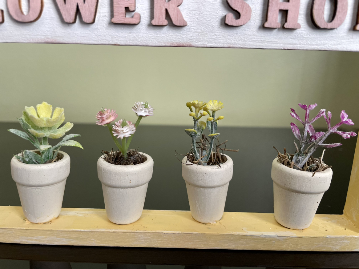 Home accent - spring image indicator(4)