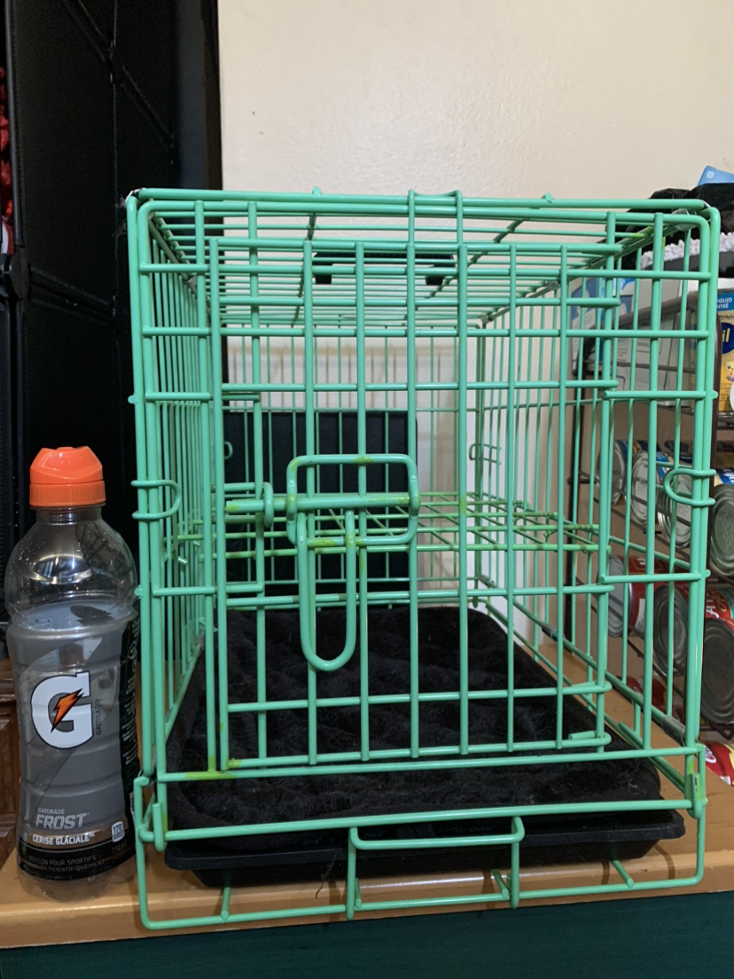 #freecycle* green PET carrier / pet cage (was used for a cat) thumbnail