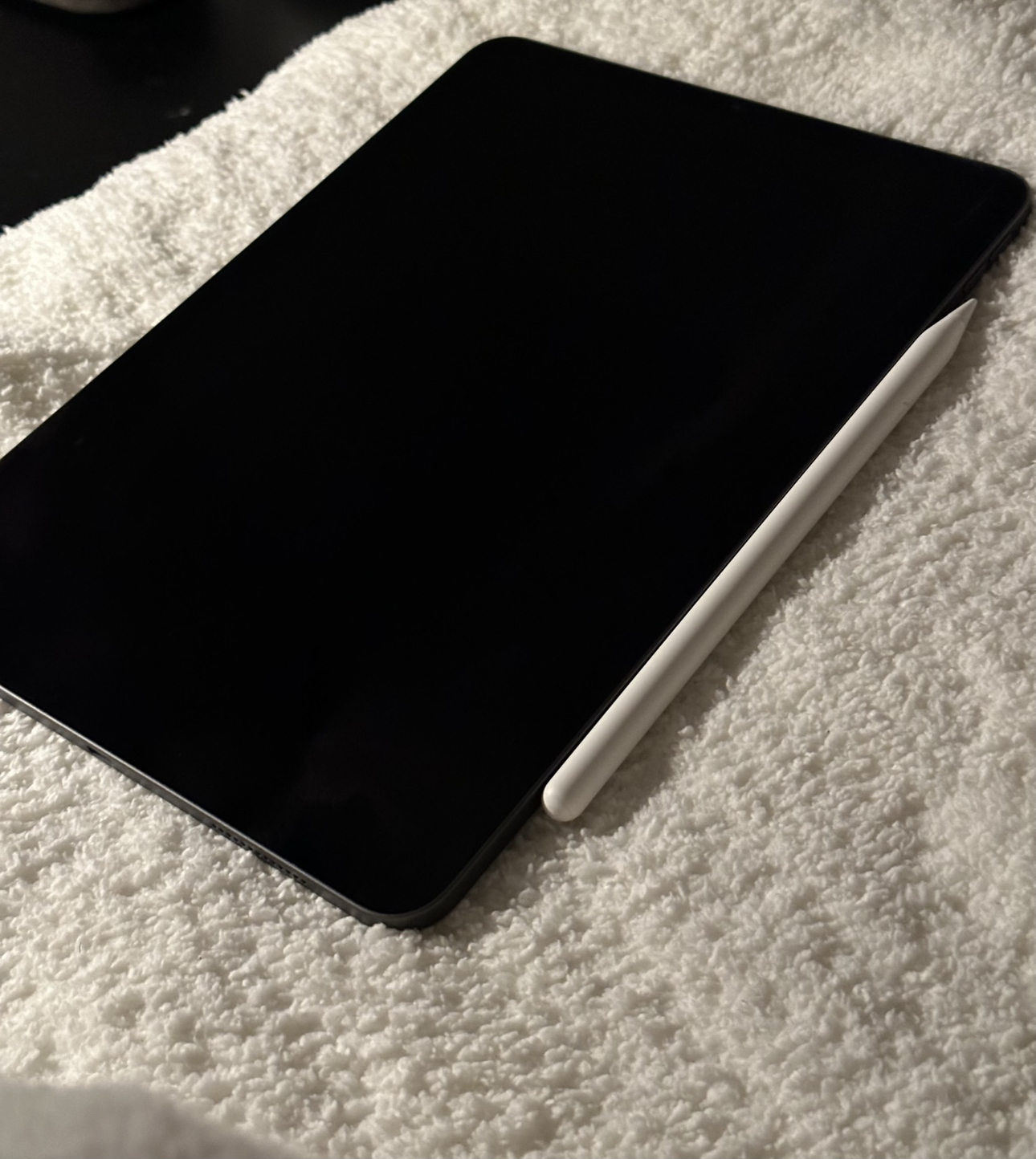 iPad Pro + Apple Pencil 265GB image indicator(3)