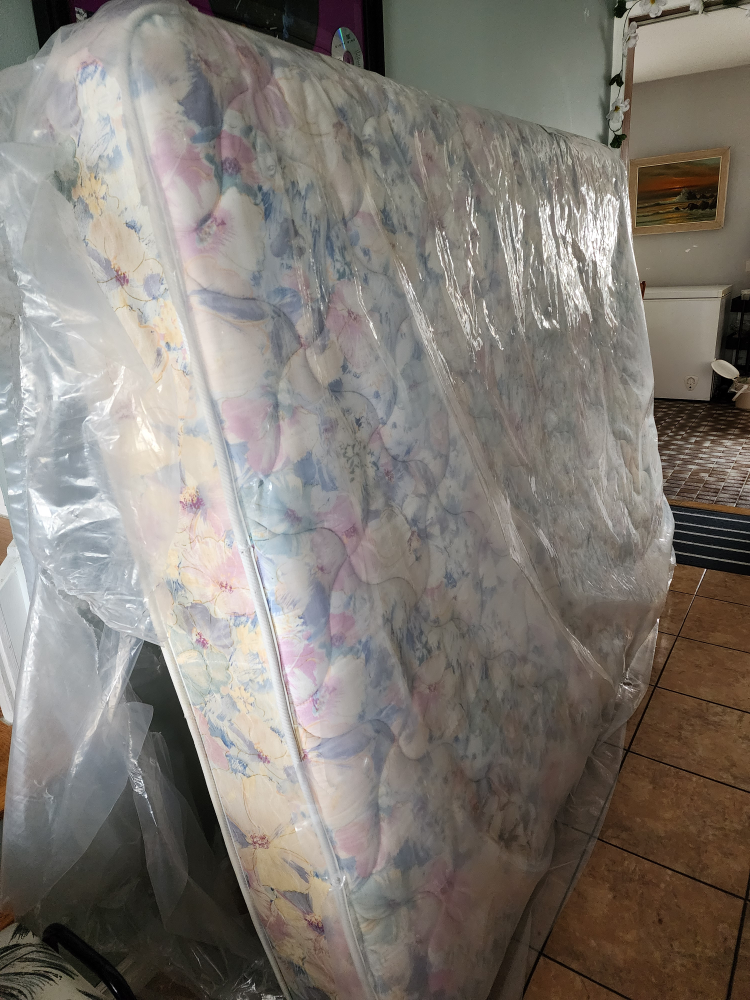 Free Queen Mattress