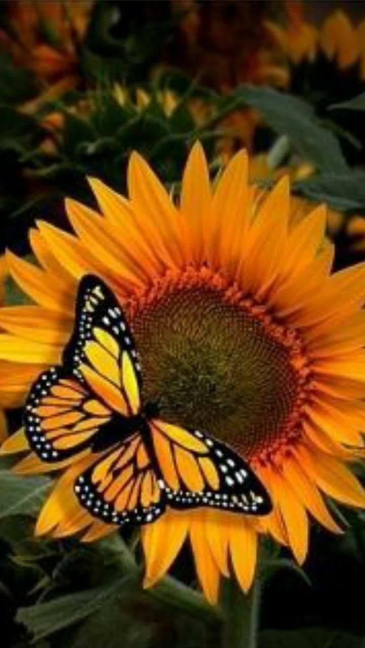 🆕 Diamond painting kit image indicator(2)