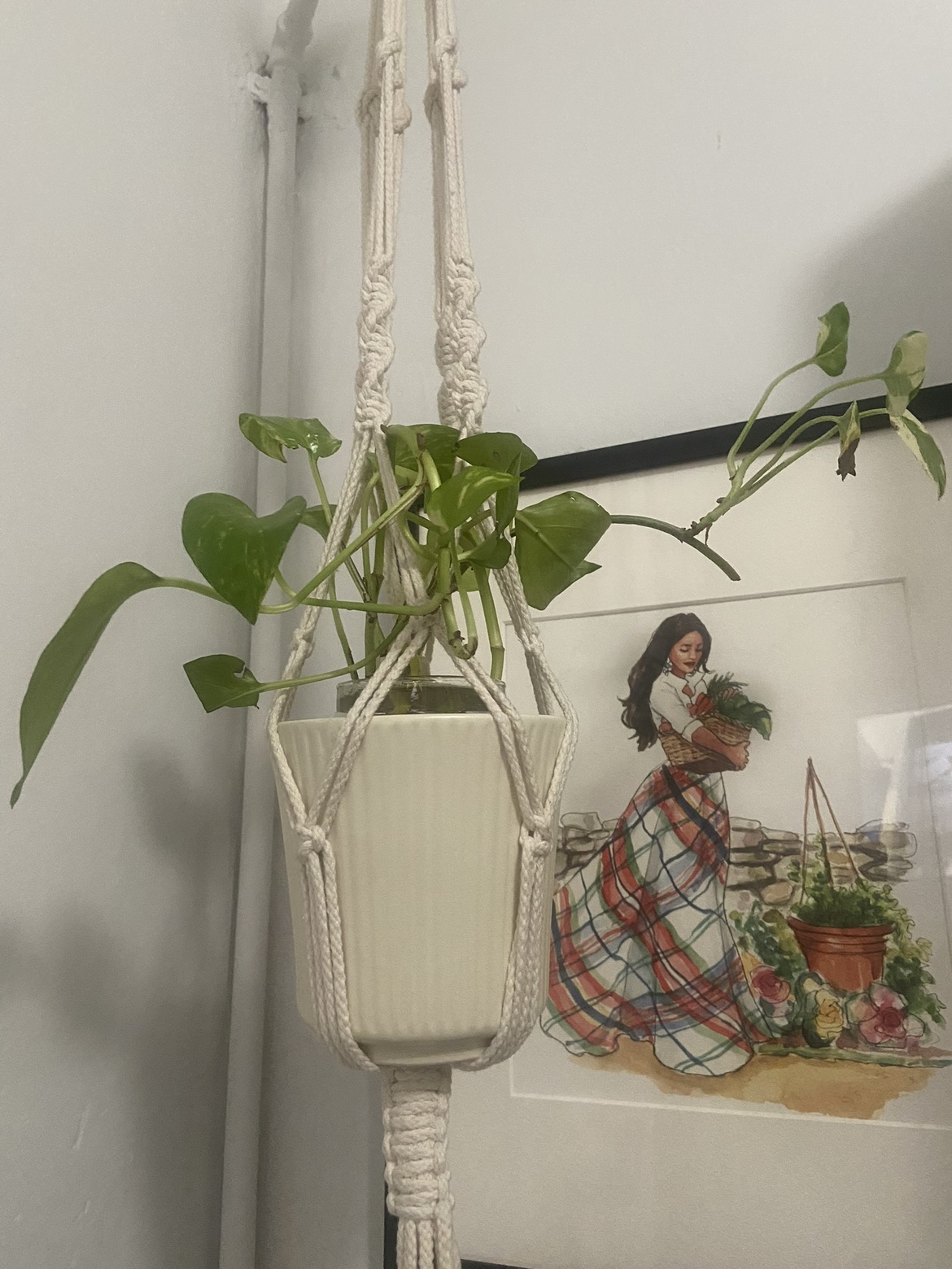 Kitchen artwork - photo 2