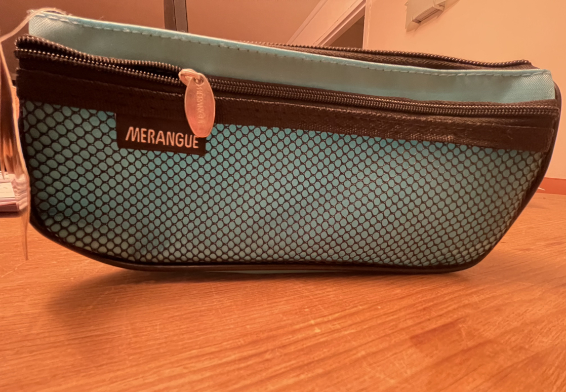 Nylon Carry all case #freecycle