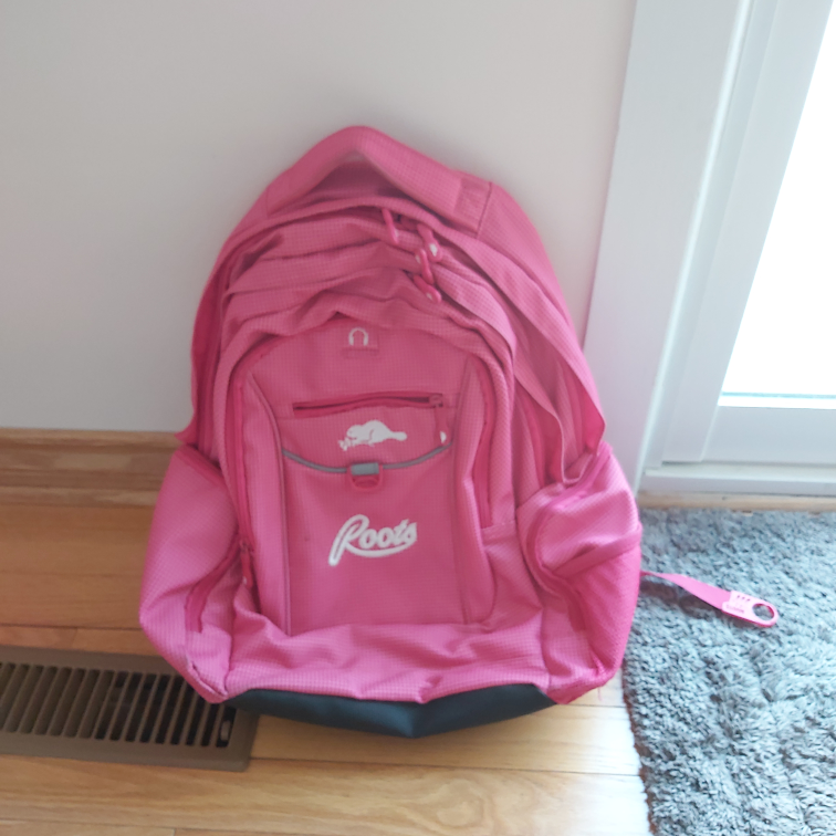 Imperfect Backpack looking for homes :)