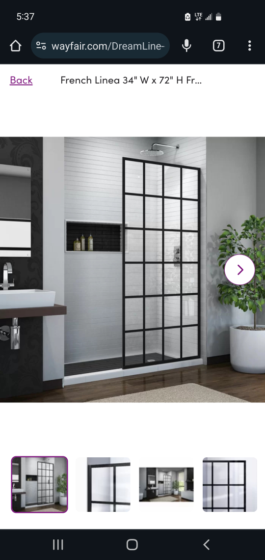 French shower glass wall/ door