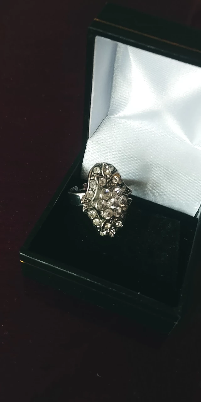 Adjustable Zirconia Ring image indicator(2)