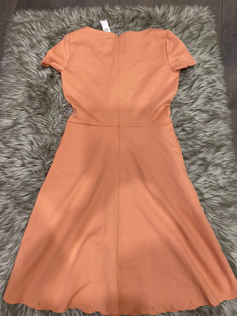 Gap. Fit and flare scallop dress. NWT. image indicator(10)