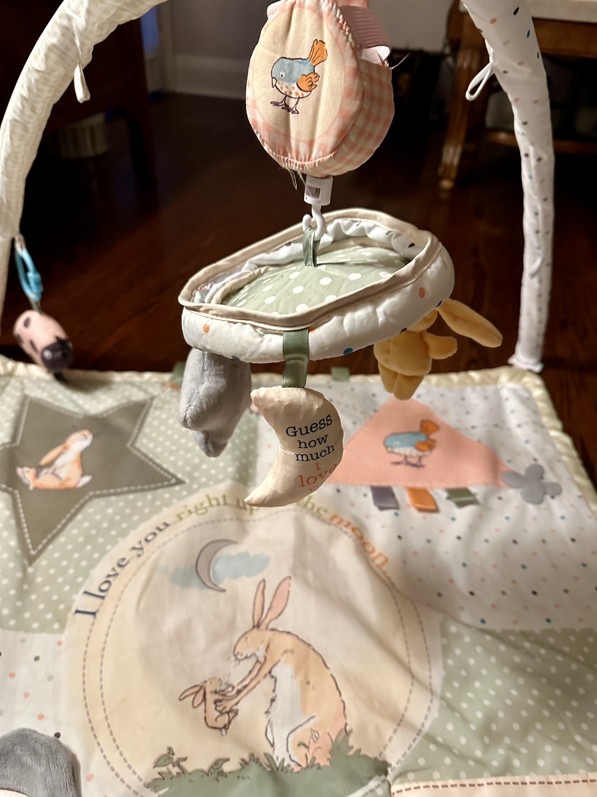 Baby Playmat (Guess How Much I Love You) image indicator(4)