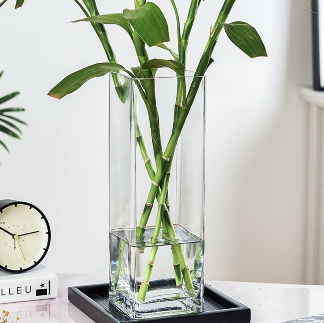 Glass Clear Square Tall Flower Vase 10*10*32 cm thumbnail