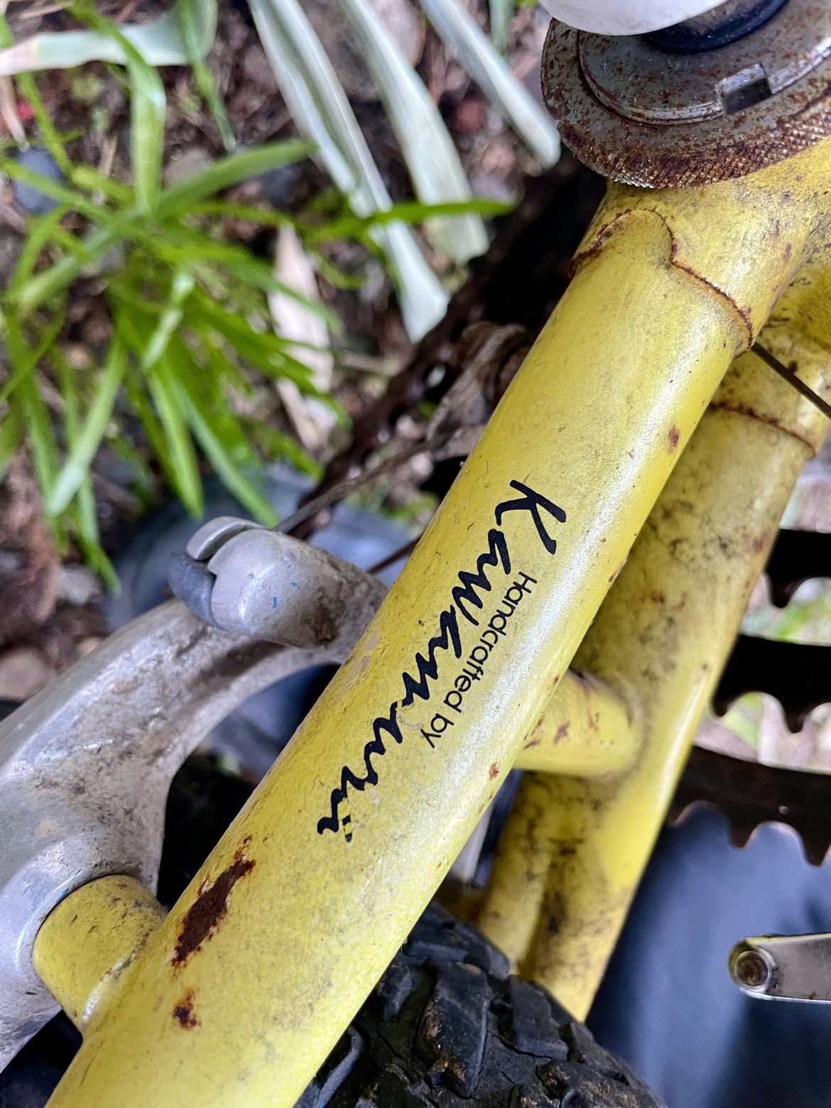 Boys Nishiki 18 speed bike image indicator(6)