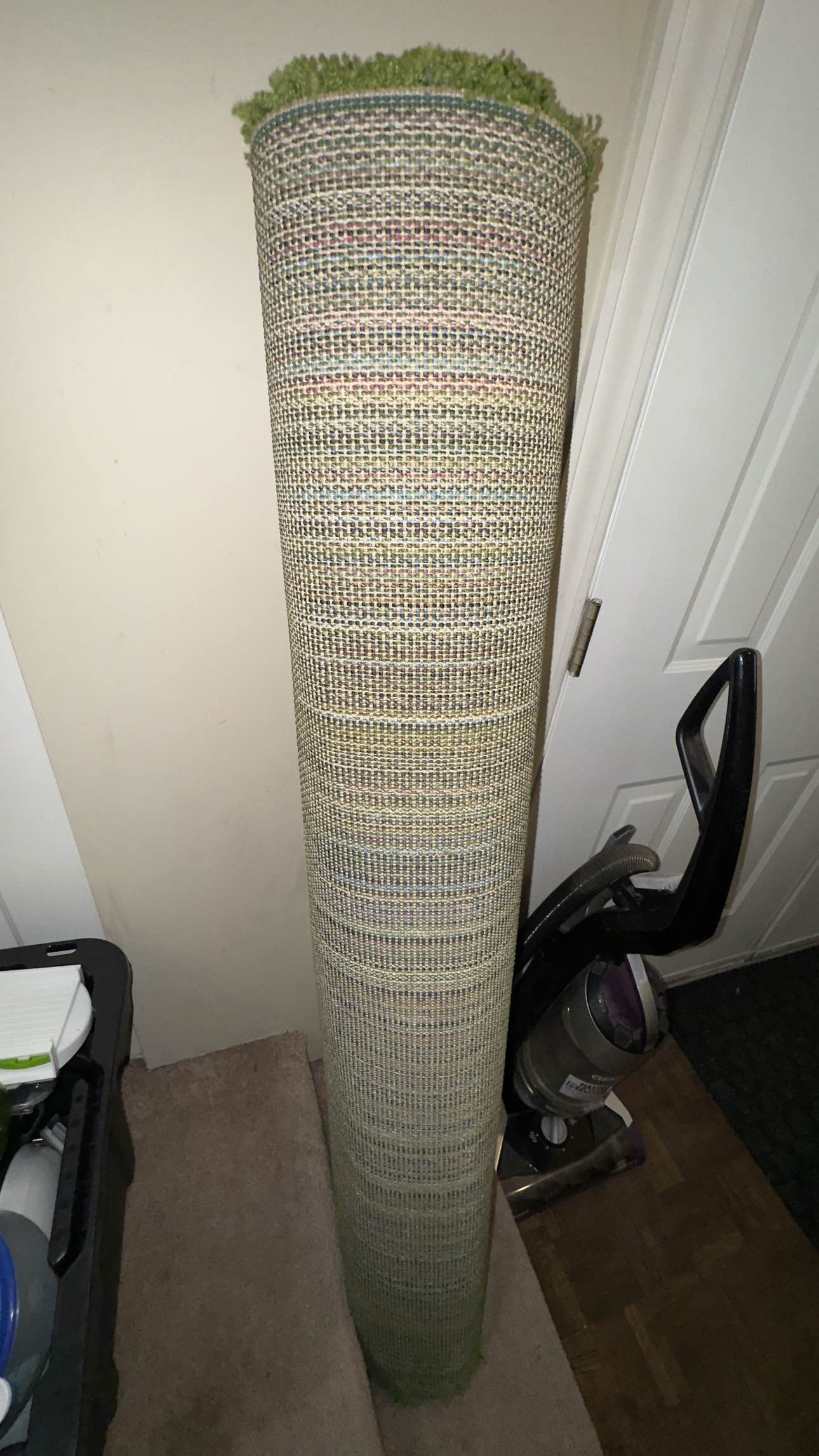 Green/carpet/Rug Unused image indicator(4)