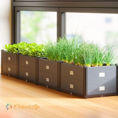 Garden/Indoor Large Stackable Plant Box, Flower Box image indicator(2)