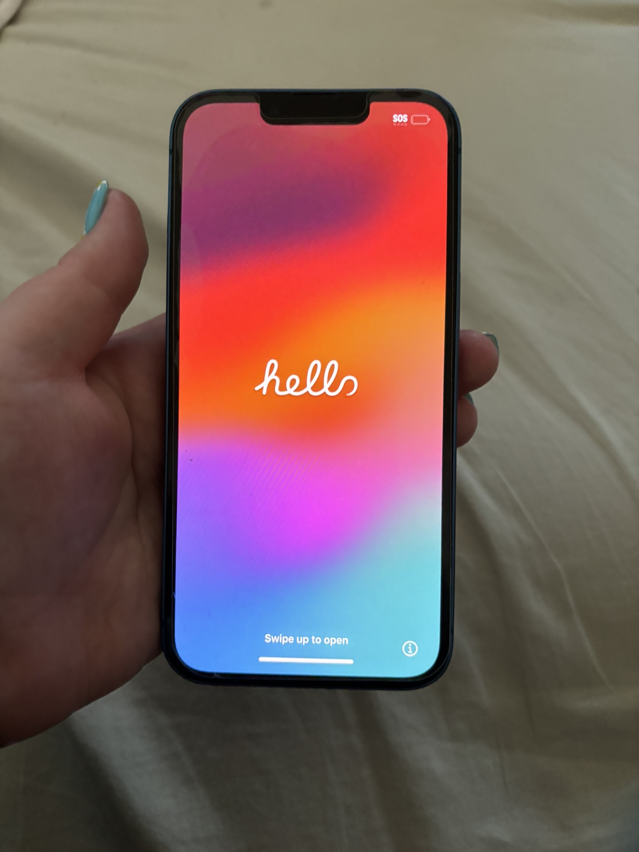 iPhone 13 (Unlocked)