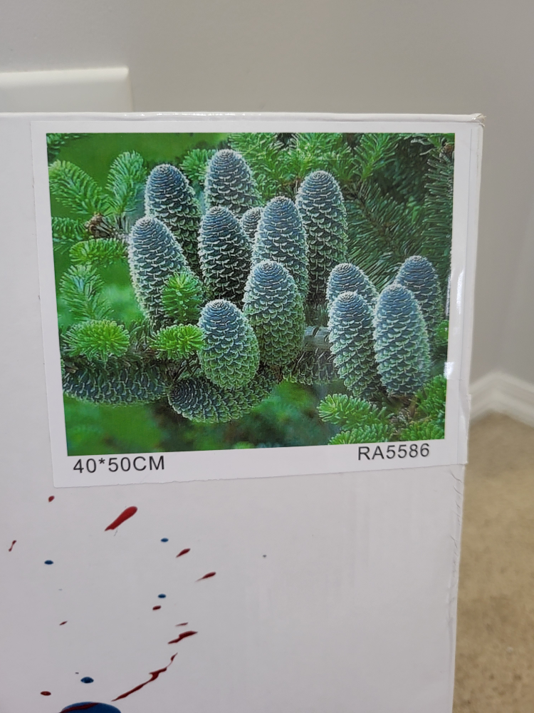 Paint by number set (New) cactus image indicator(2)