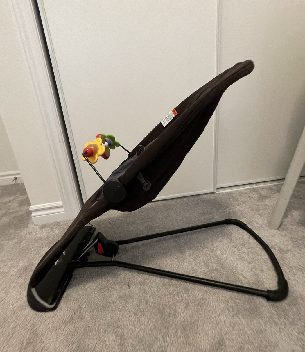 baby bjorn bouncer - photo 5